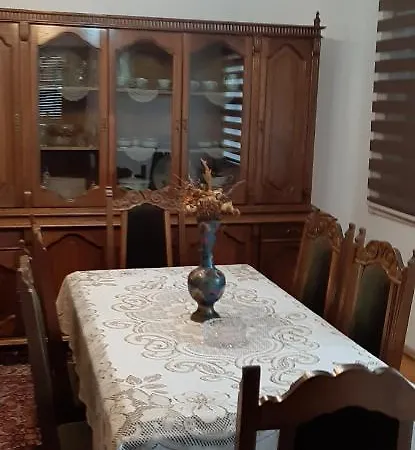 Nina ויסוקו
